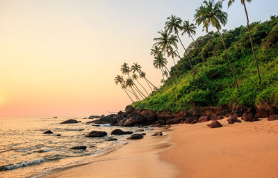 Book Tour Packages From Delhi | Trip Packages From Delhi