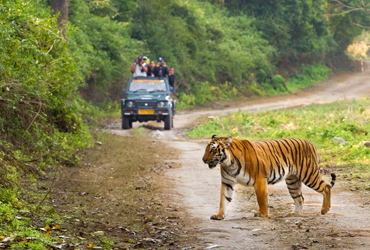Uttrakhand Tour Packages From Delhi | Uttrakhand Tour Packages From Haridwar