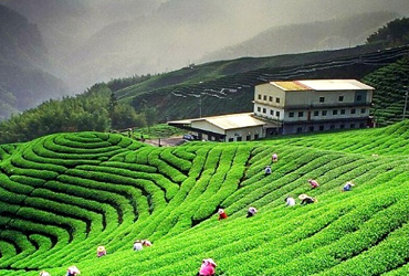 Uttrakhand Tour Packages From Delhi | Uttrakhand Tour Packages From Haridwar